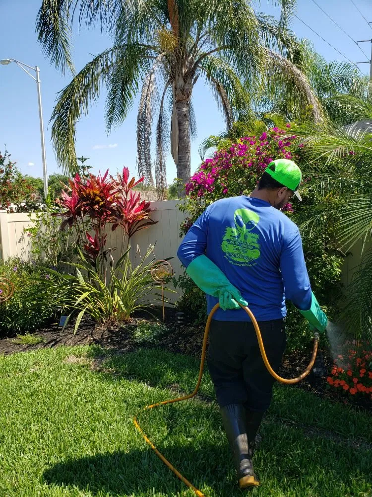 Reliable landscape installation for outdoor upgrades across Plant City, FL - Plant It Earth | Plant City