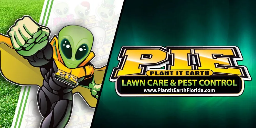 Expert yard maintenance in Plant City, FL by Plant It Earth | Plant City