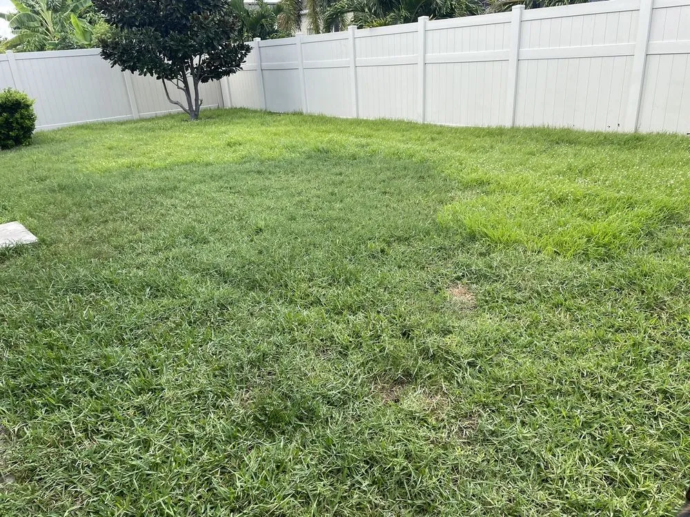 Professional yard cleanup service for homes across Plant City, FL - Plant It Earth | Plant City