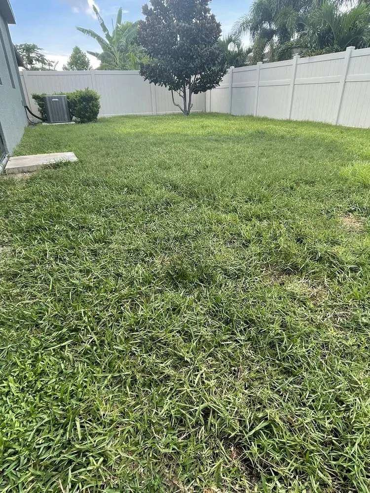 Trusted landscape design in Plant City, FL - Plant It Earth | Plant City