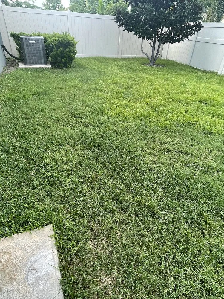 Trusted yard cleanup service in Plant City, FL - Plant It Earth | Plant City