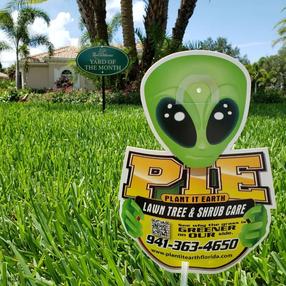 Expert yard cleanup service in Plant City, FL - Plant It Earth | Plant City