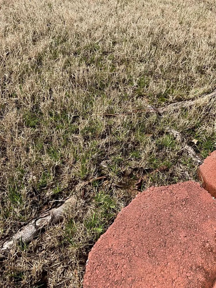 Local outdoor landscaping with custom design in Pineville, NC by Plant It Earth