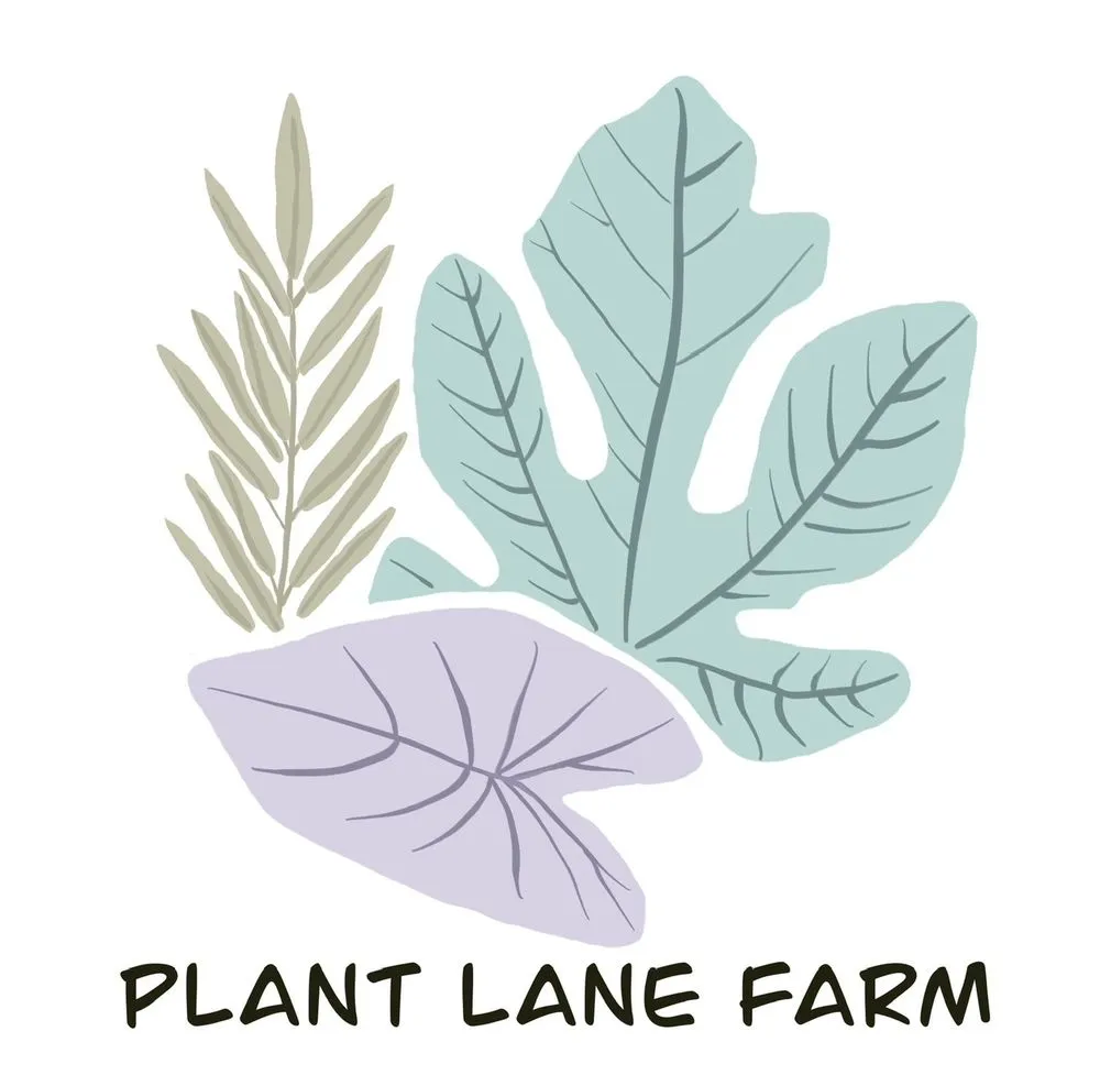 Top-rated lawn care service near you in Clayton, NC by Plant Lane Farm