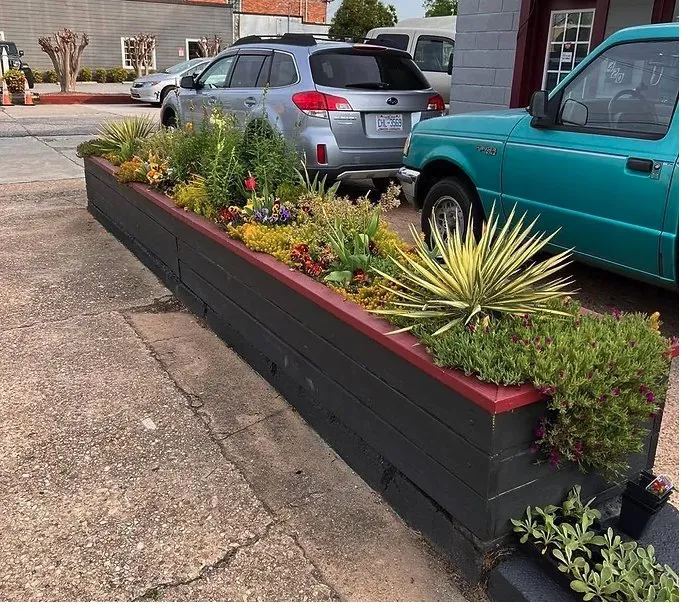 Top-rated residential landscaping experts serving Clayton, NC - Plant Lane Farm