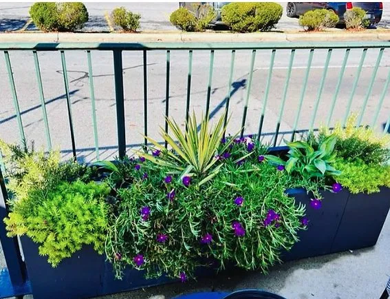 Reliable garden landscaping experts serving Clayton, NC - Plant Lane Farm