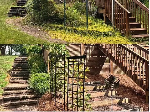 Reliable yard maintenance for homes in Clayton, NC by Plant Lane Farm