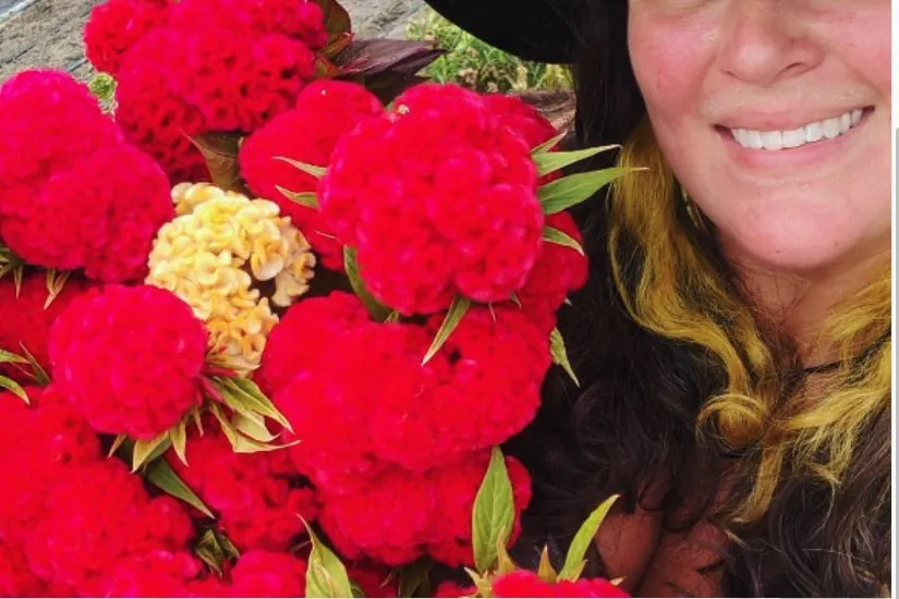 Affordable yard maintenance for beautiful yards across Clayton, NC - Plant Lane Farm