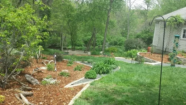 Custom lawn care service experts serving Van Meter, IA - Plant Life Designs