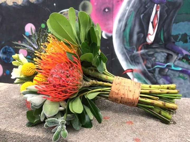 Expert outdoor landscaping in Van Meter, IA by Plant Life Designs