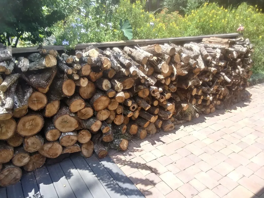 Custom outdoor landscaping in Brooksville, FL - Plant Lives Matter