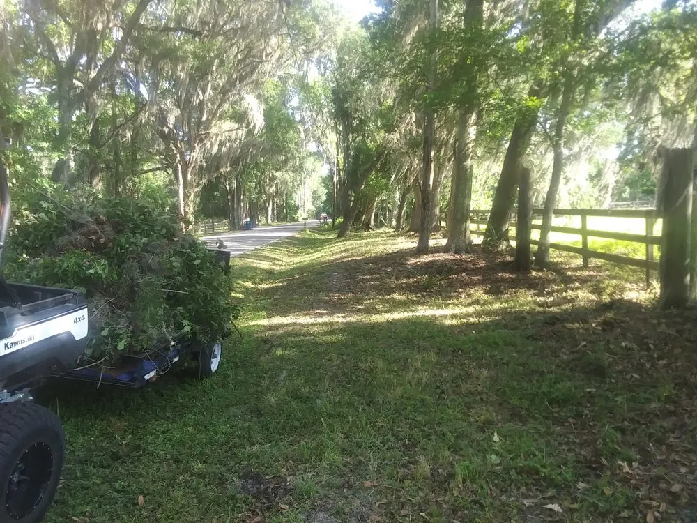 Top-rated landscape design in Brooksville, FL - Plant Lives Matter