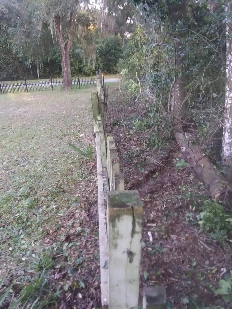 Custom yard maintenance for beautiful yards across Brooksville, FL - Plant Lives Matter