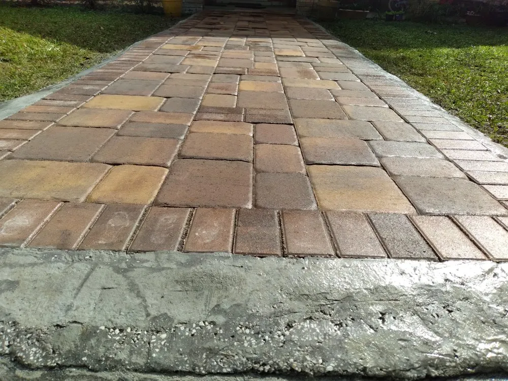 Trusted lawn care service experts serving Brooksville, FL - Plant Lives Matter