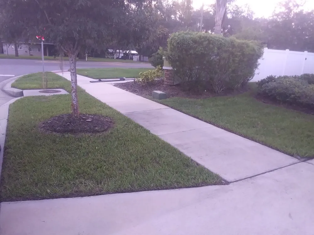 Top-rated outdoor landscaping for year-round maintenance across Brooksville, FL - Plant Lives Matter