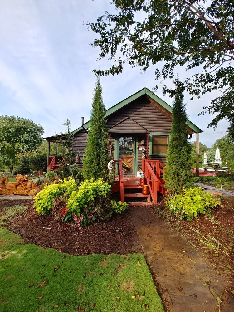 Local yard cleanup service experts serving Charlotte, NC - Plant Man