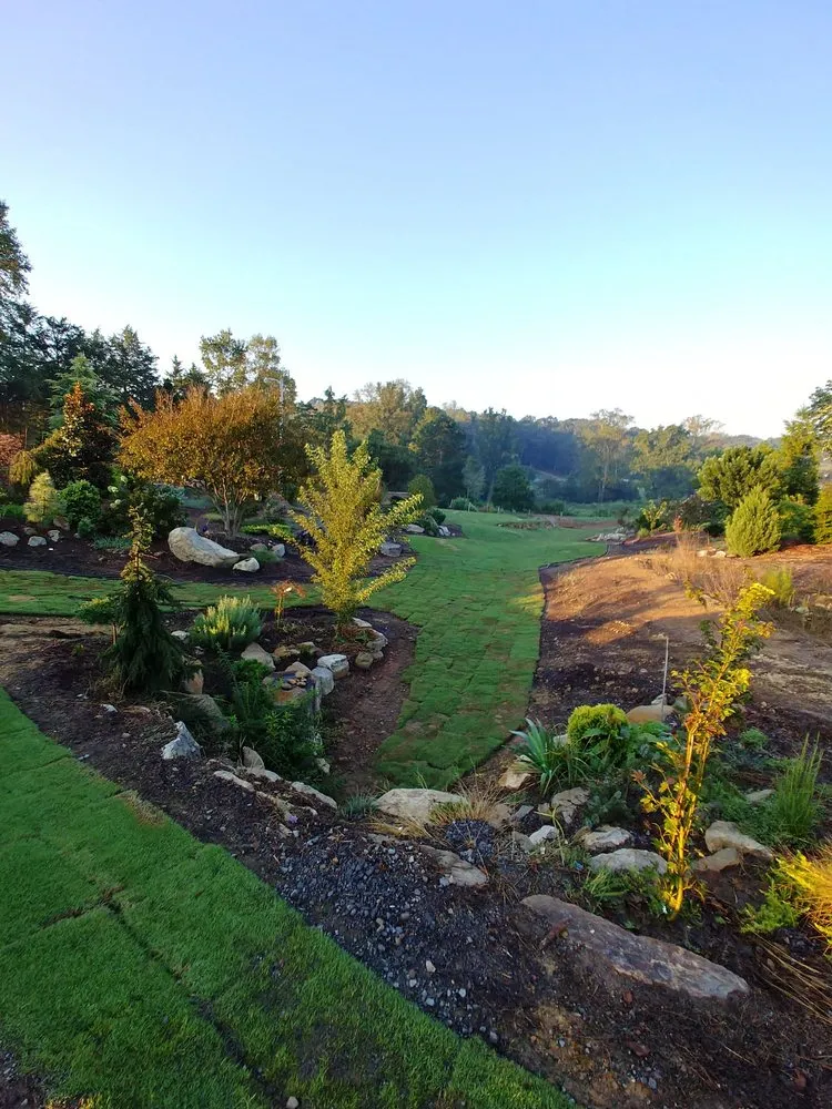 Professional landscaping services experts serving Charlotte, NC - Plant Man