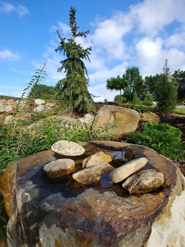 Affordable yard cleanup service in Charlotte, NC by Plant Man