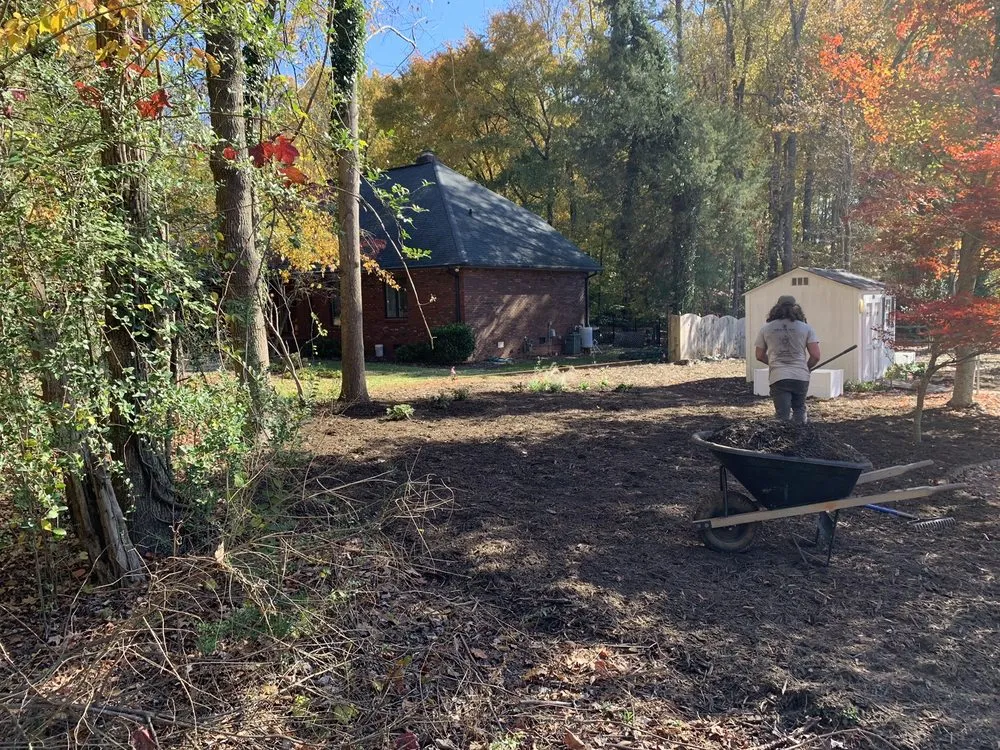 Expert yard maintenance in Charlotte, NC - Plant Man