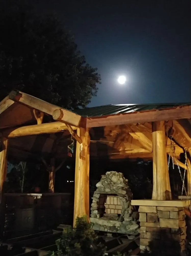 Affordable landscape design in Charlotte, NC by Plant Man