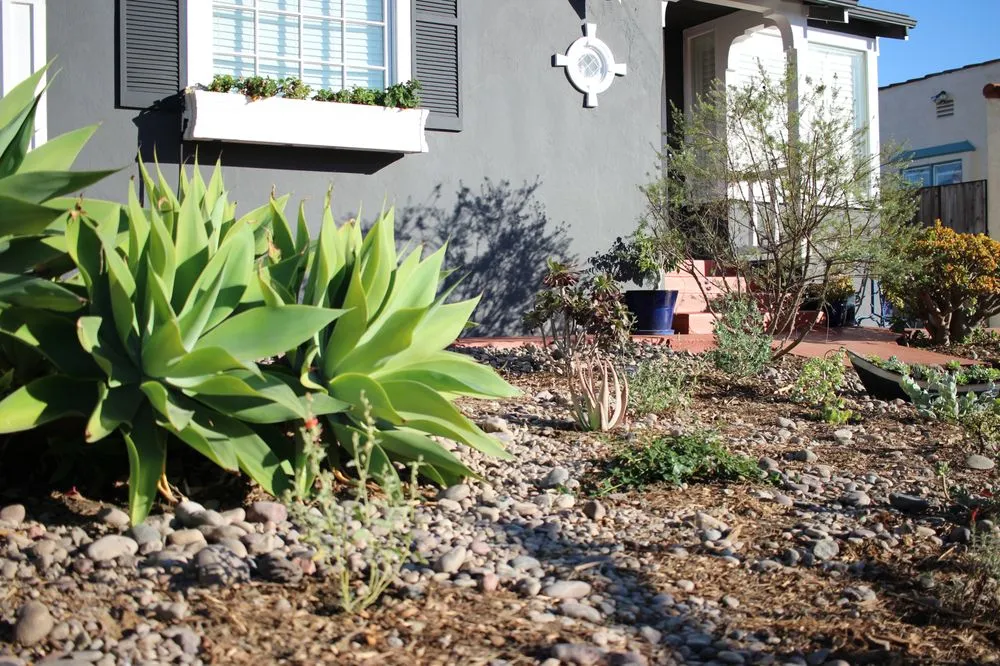 Reliable lawn care service for year-round maintenance in Ventura, CA by Plant Marks