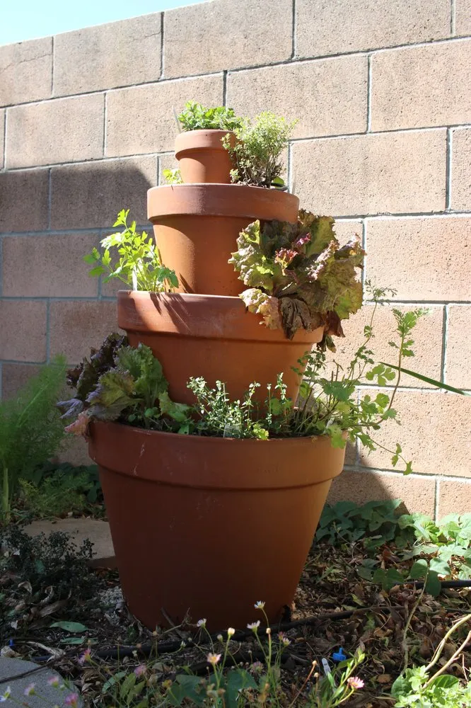 Top-rated lawn mowing service for residential properties in Ventura, CA by Plant Marks