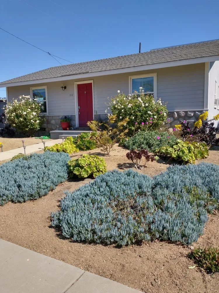 Custom landscape design in Ventura, CA - Plant Marks