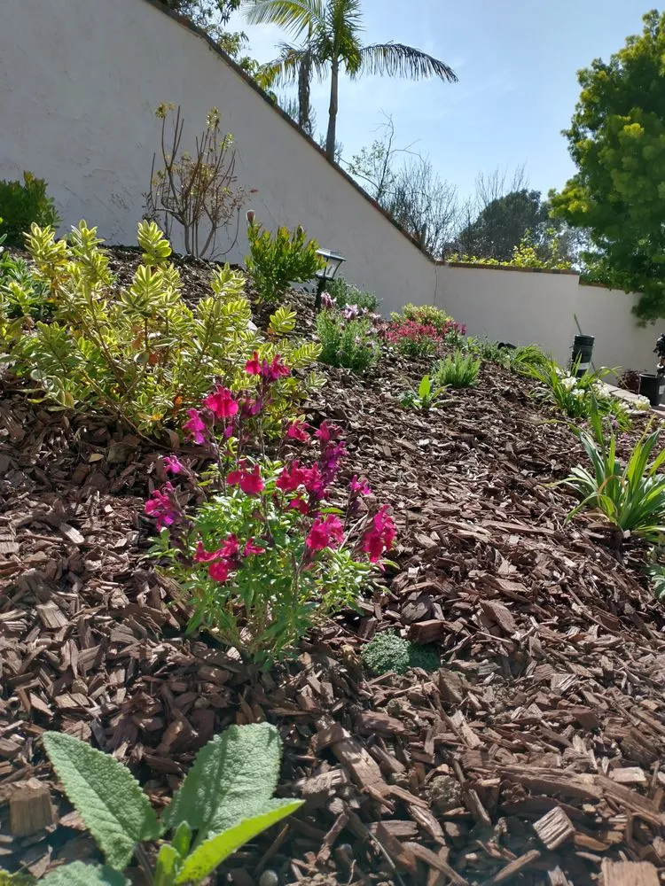 Professional garden landscaping experts serving Ventura, CA - Plant Marks
