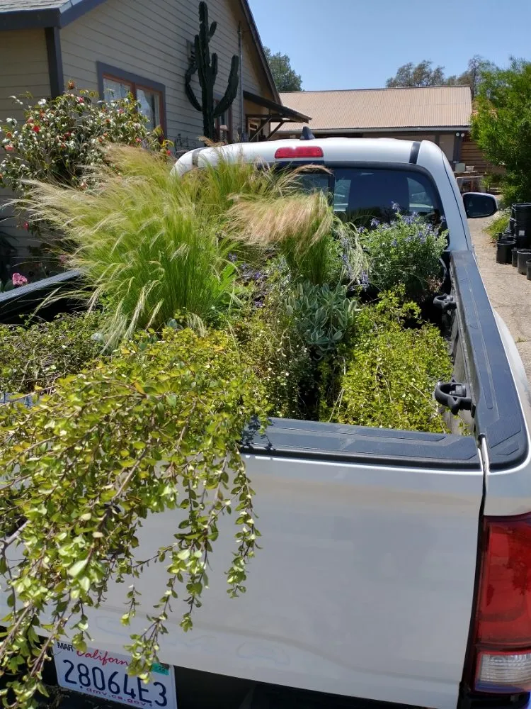 Expert residential landscaping in Ventura, CA - Plant Marks