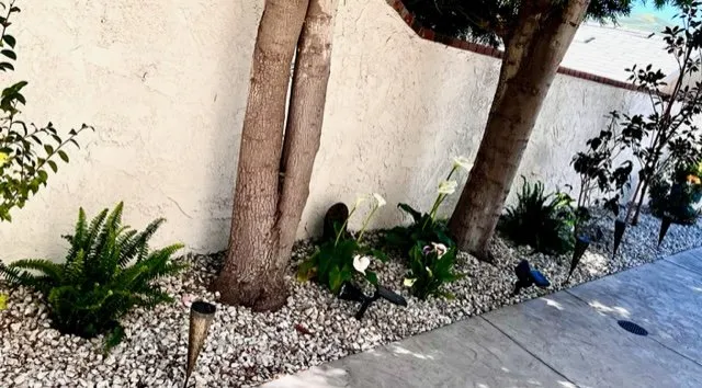 Expert landscape installation in Ventura, CA - Plant Marks