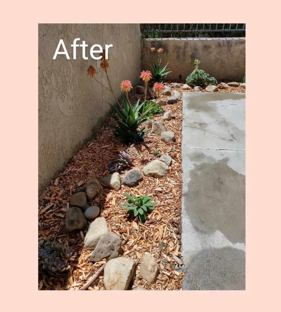 Local lawn mowing service in Ventura, CA by Plant Marks