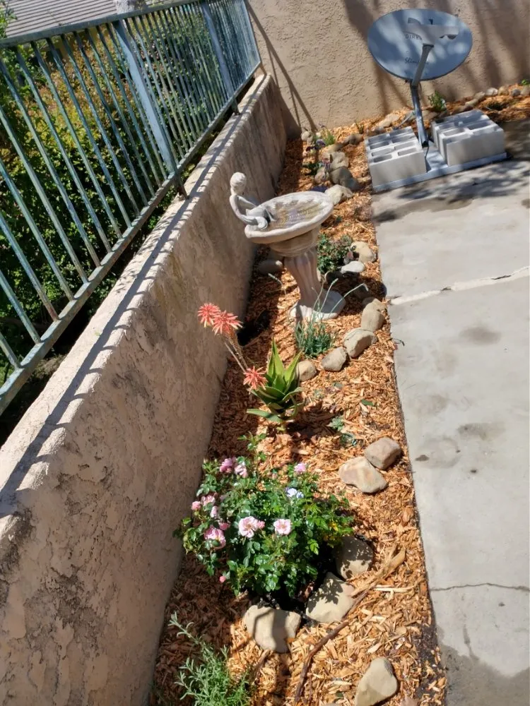 Professional garden landscaping for outdoor upgrades in Ventura, CA by Plant Marks