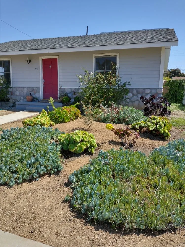 Reliable landscape installation with custom design in Ventura, CA by Plant Marks