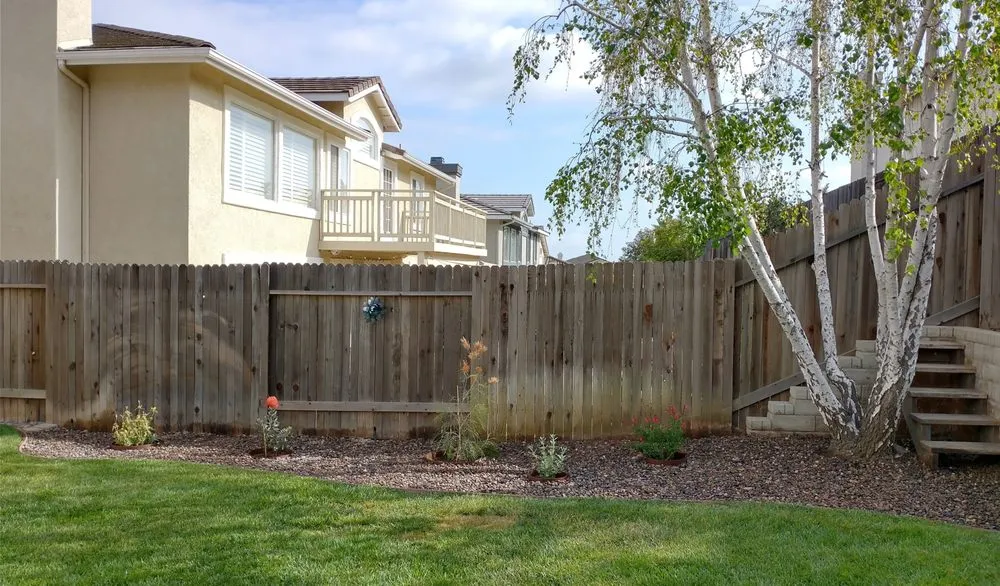 Top-rated yard maintenance experts serving Ventura, CA - Plant Marks