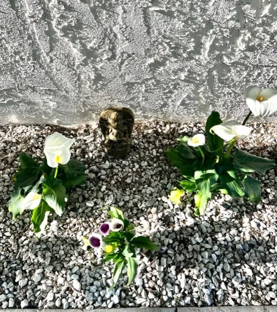 Reliable landscape design for year-round maintenance in Ventura, CA by Plant Marks