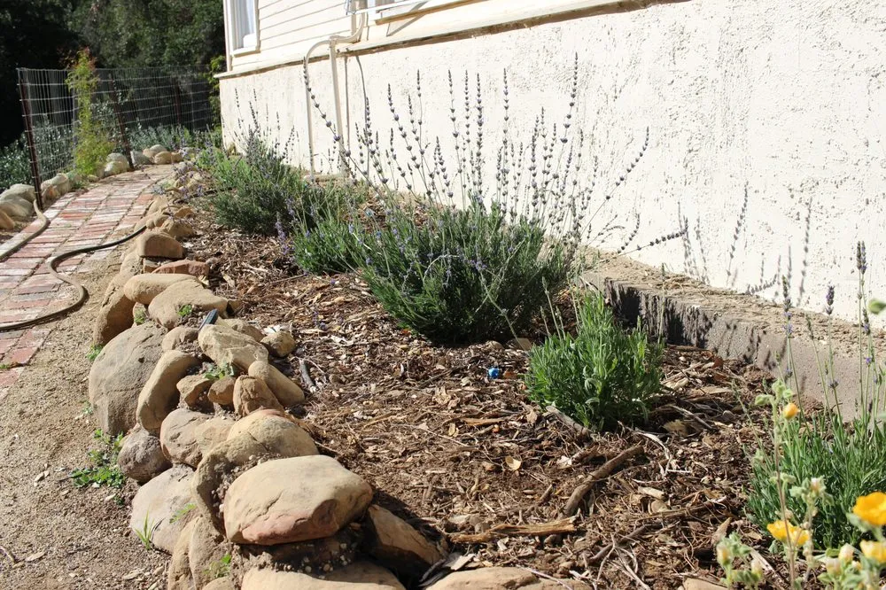 Local landscape design in Ventura, CA - Plant Marks