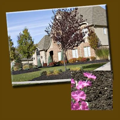 Expert landscape design experts serving Snohomish, WA - Plant Mulch