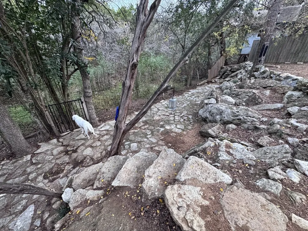 Local landscaping services in Austin, TX by Plant N Things Lawn Care Services