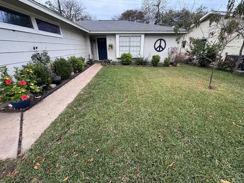 Affordable yard cleanup service experts serving Austin, TX - Plant N Things Lawn Care Services