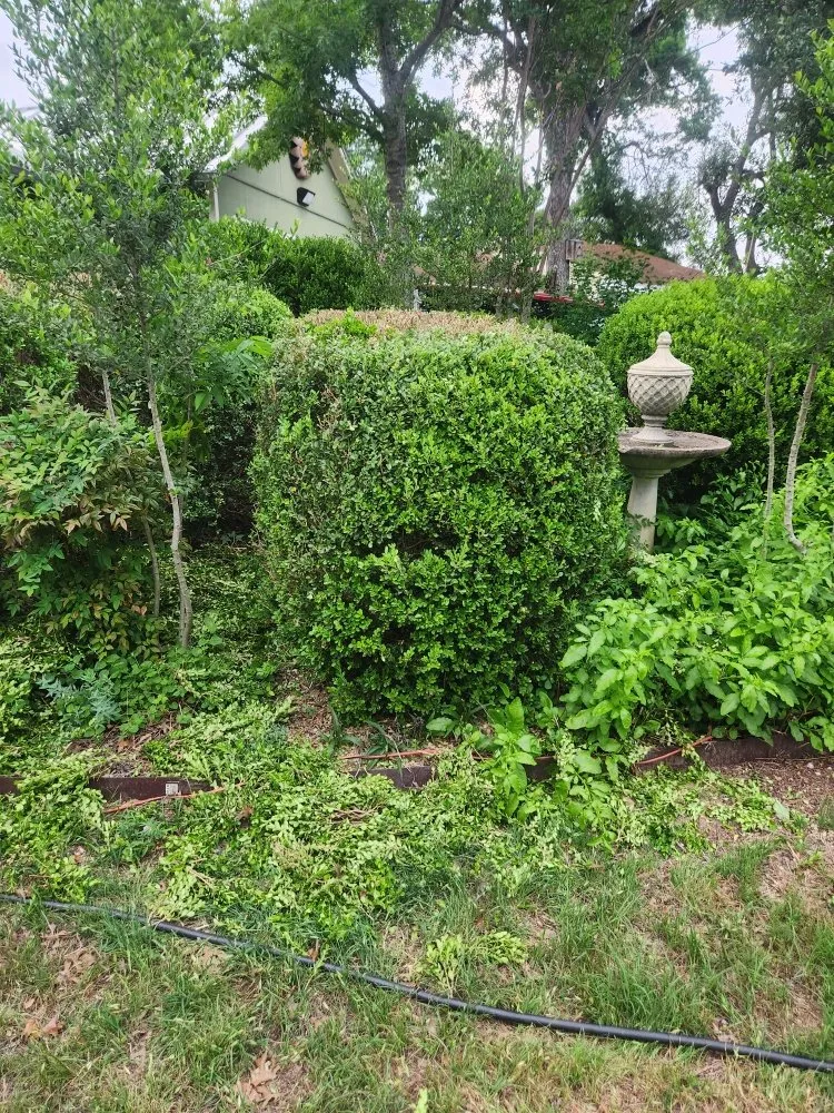 Expert garden landscaping in Austin, TX by Plant N Things Lawn Care Services