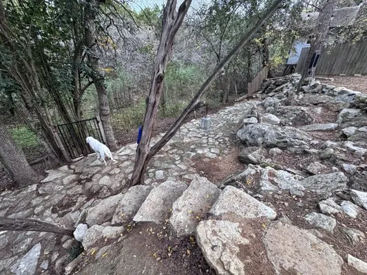 Plant N Things Lawn Care Services Logo