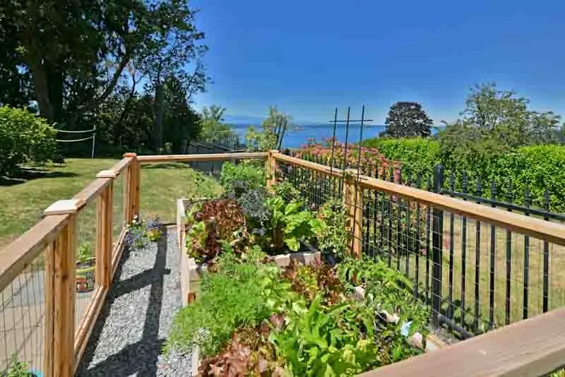 Professional yard maintenance in Seattle, WA - Plant People Northwest