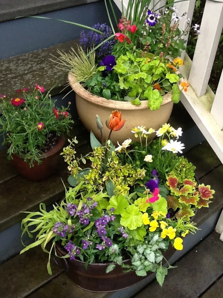 Affordable outdoor landscaping in Seattle, WA - Plant People Northwest