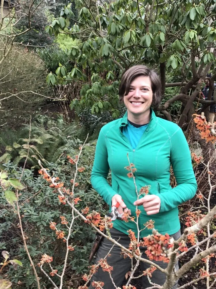 Affordable lawn care service in Seattle, WA - Plant People Northwest