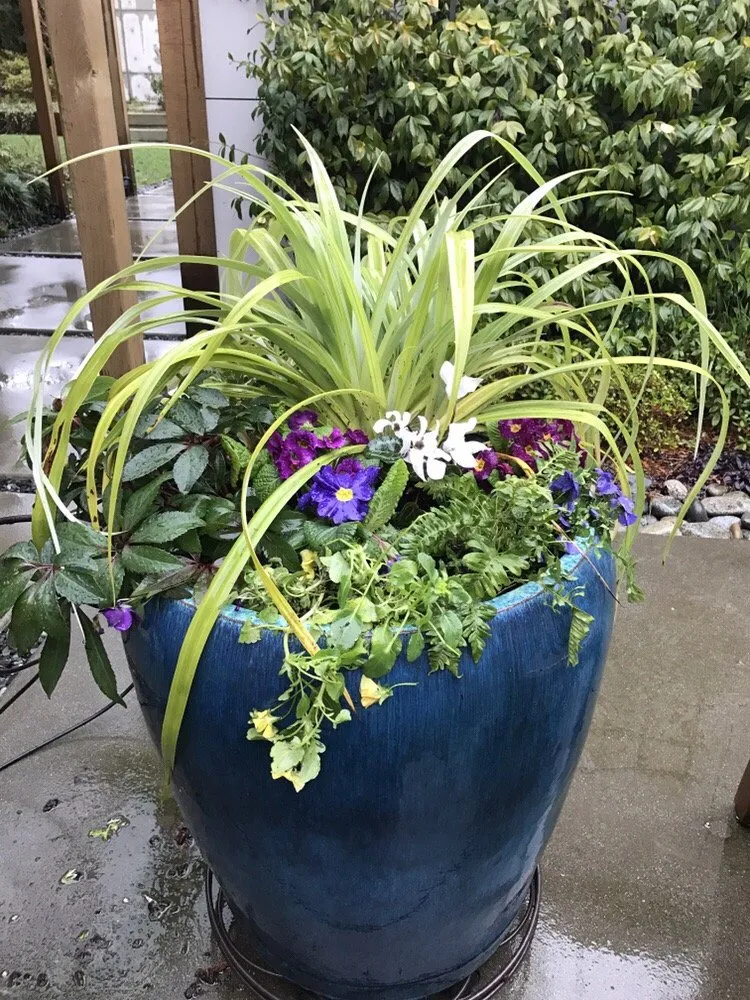 Top-rated garden landscaping for beautiful yards in Seattle, WA by Plant People Northwest