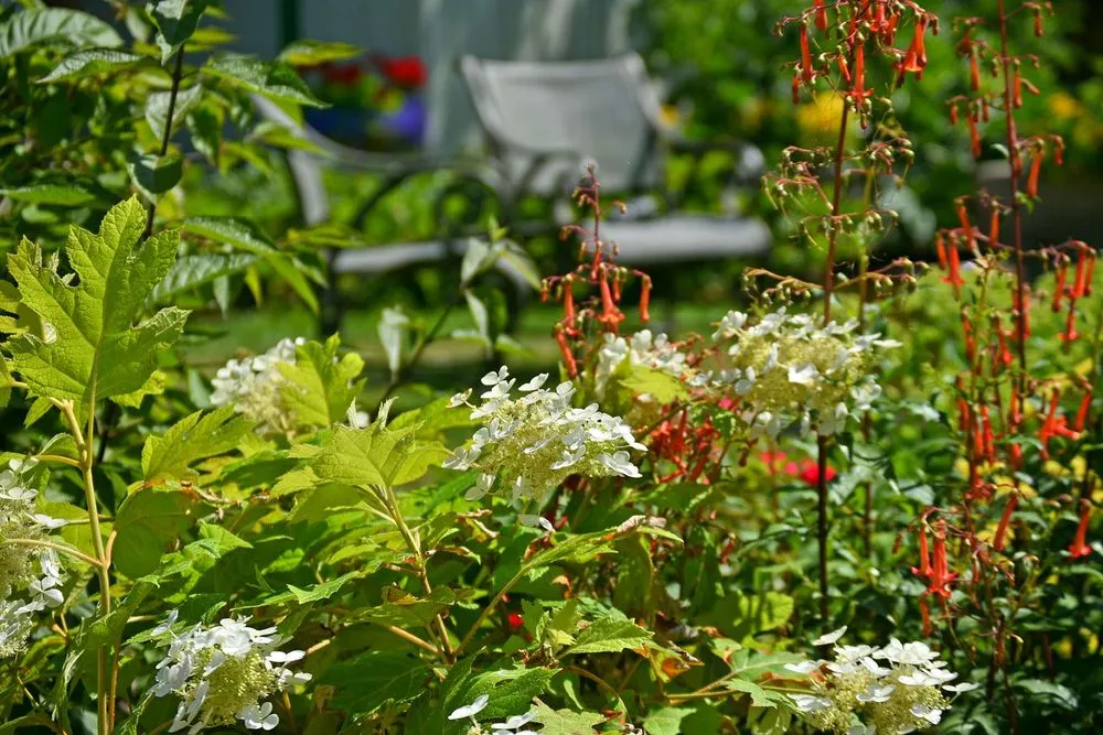 Reliable landscape design in Seattle, WA - Plant People Northwest