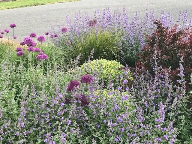 Expert lawn mowing service for beautiful yards across Seattle, WA - Plant People Northwest