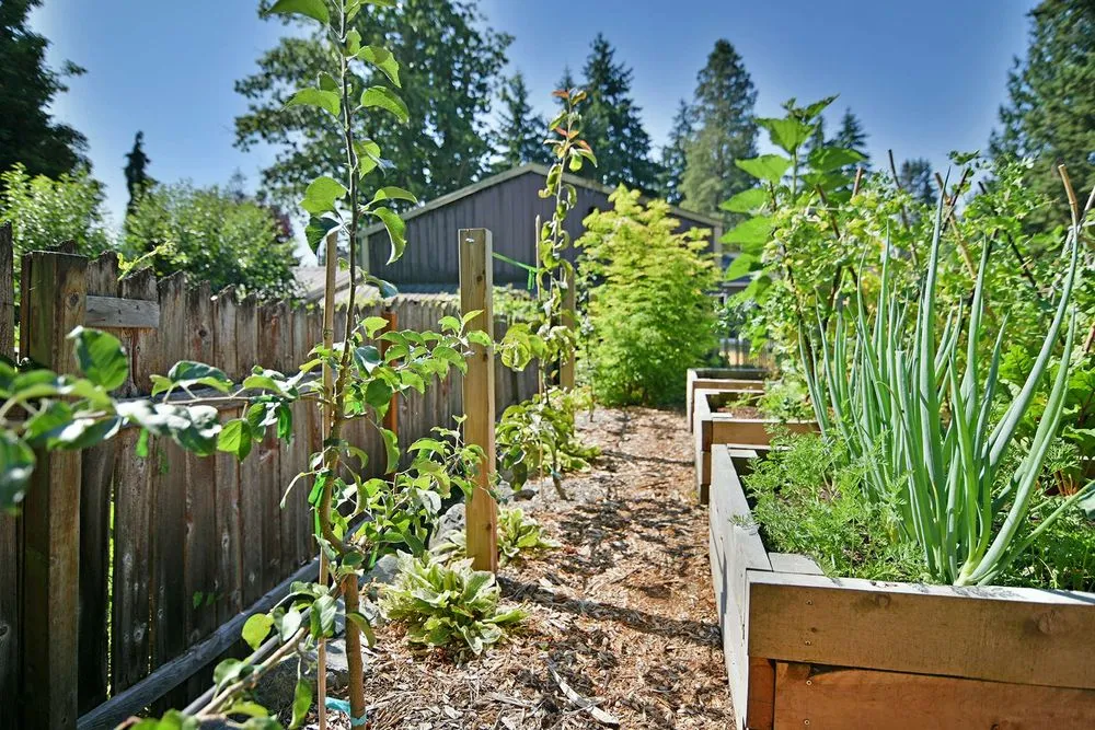 Trusted landscape design near you in Seattle, WA by Plant People Northwest
