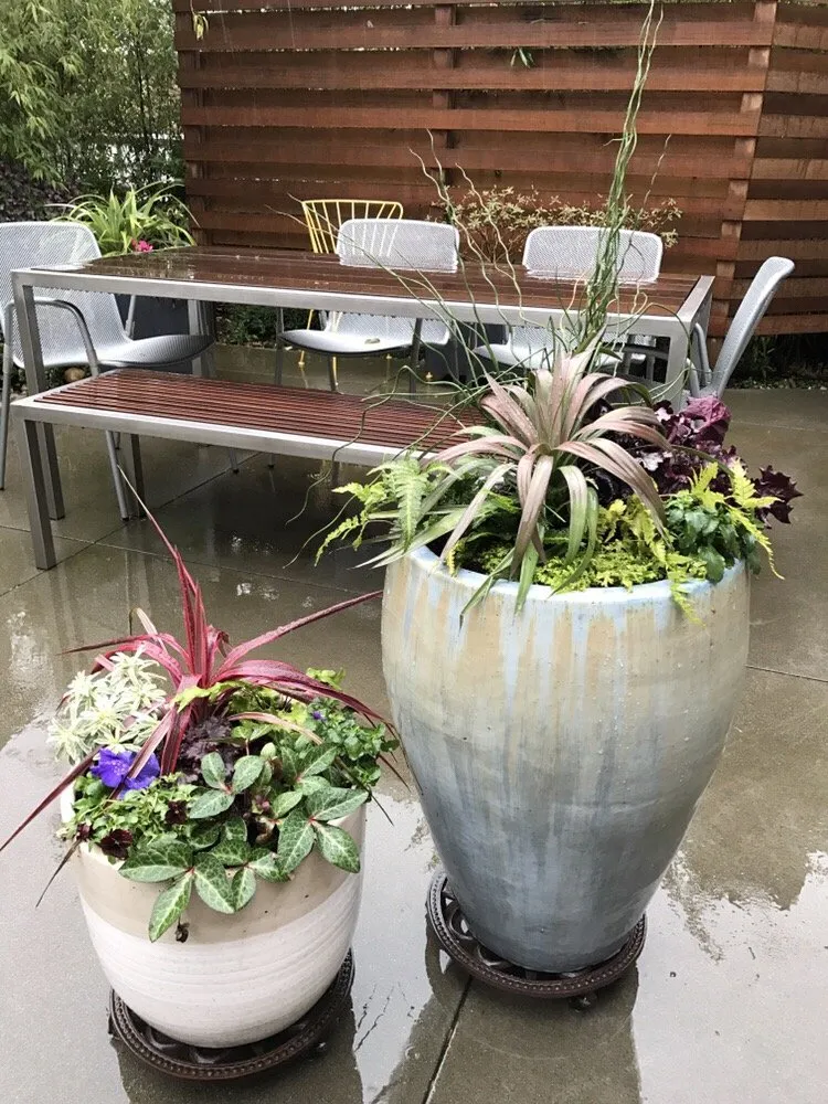 Reliable residential landscaping with custom design in Seattle, WA by Plant People Northwest