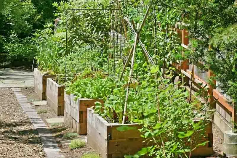 Trusted residential landscaping experts serving Seattle, WA - Plant People Northwest